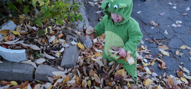 Trick or Treat! Trick or Treat!